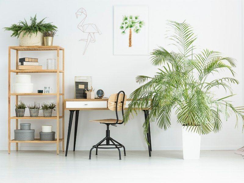 Imagem de um ambiente home office decorado com plantas