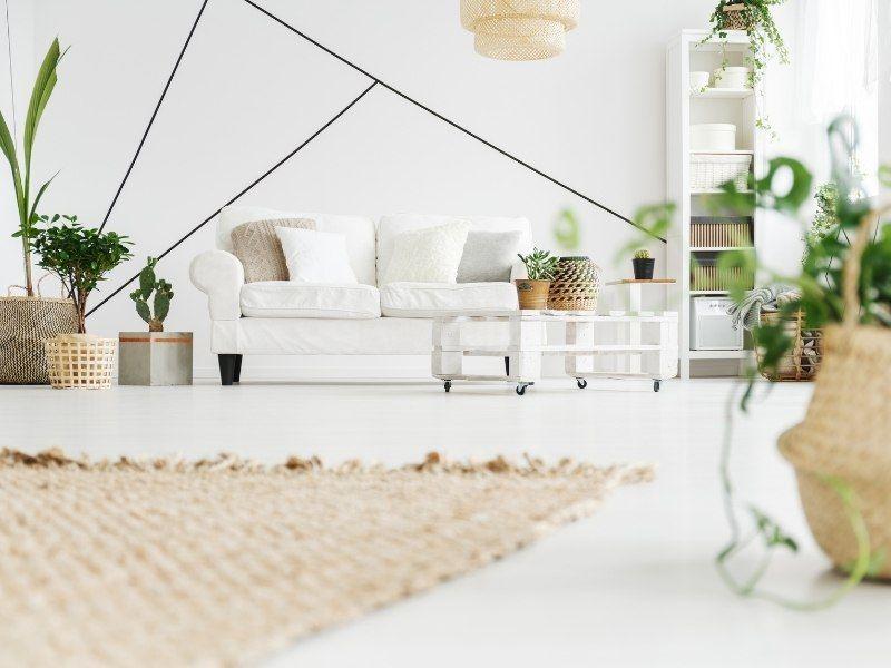 Imagem de uma sala de estar decorada com plantas