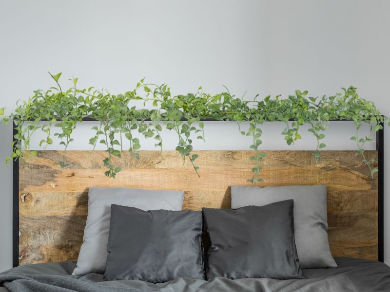 Cabeceira de cama de casal decorada com corrente de plantas