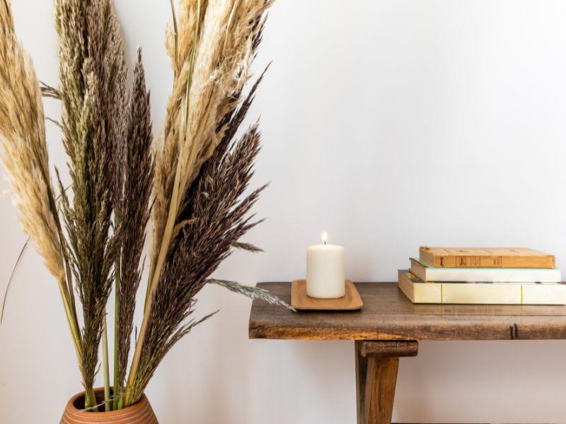 mesa com livros ao lado uma planta marrom