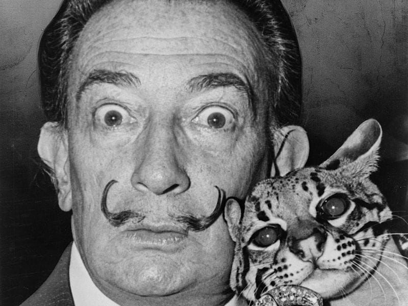 09 Salvador DalC3AD com