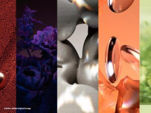 02 Quais sao as cores