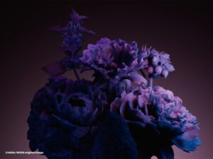 05 2 Midnight Plum roxa