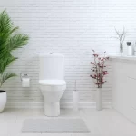 Banheiro com vaso de planta ao lado e rodapé