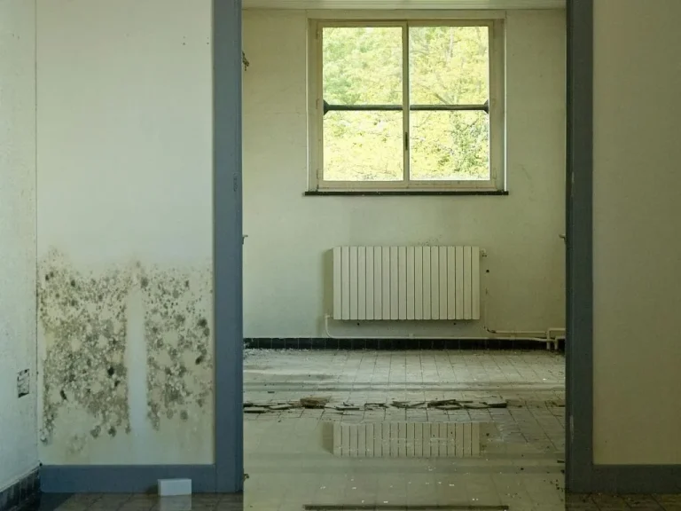 01 - Como tirar mofo da parede